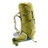 Deuter Aircontact Core 70+10 Trekkingrucksack cactus-ivy hier im Deuter-Shop günstig online bestellen