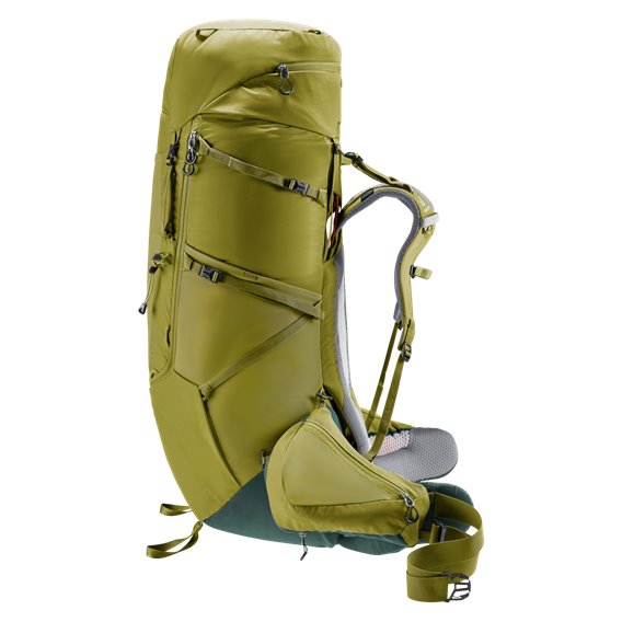 Deuter Aircontact Core 70+10 Trekkingrucksack cactus-ivy hier im Deuter-Shop günstig online bestellen