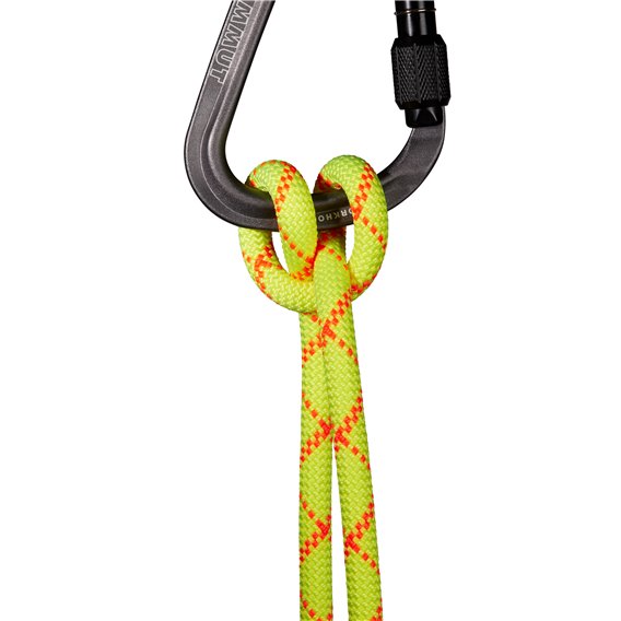 Mammut 9.5 Alpine Core Protect Dry Rope Kletterseil halo-vibrant orange hier im Mammut-Shop günstig online bestellen