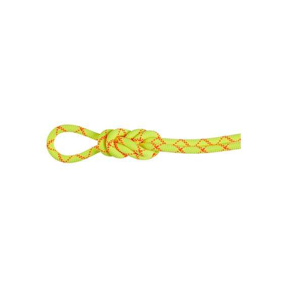 Mammut 9.5 Alpine Core Protect Dry Rope Kletterseil halo-vibrant orange hier im Mammut-Shop günstig online bestellen