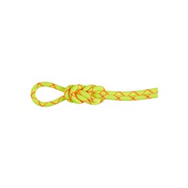 Mammut 9.5 Alpine Core Protect Dry Rope Kletterseil halo-vibrant orange