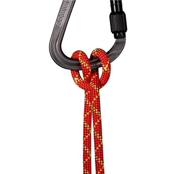 Mammut 8.0 Alpine Core Protect Dry Rope 60m Kletterseil fire-halo hier im Mammut-Shop günstig online bestellen