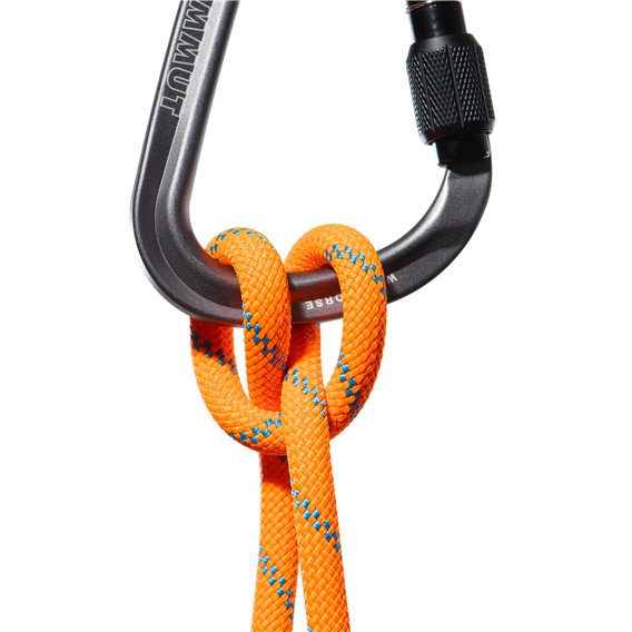 Mammut 8.7 Alpine Sender Dry Rope 60m Kletterseil vibrant orange-ocean hier im Mammut-Shop günstig online bestellen