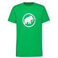 Mammut Mammut Core T-Shirt Classic Herren Kurzarmshirt pinea