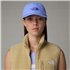 The North Face Horizon Hat Kappe virtual blue hier im The North Face-Shop günstig online bestellen