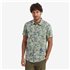 Sherpa Phoenix Shortsleeve Shirt Herren T-Shirt celery hier im Sherpa-Shop günstig online bestellen