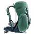 Deuter Gröden 30 SL Damen Wanderrucksack seagreen-ink