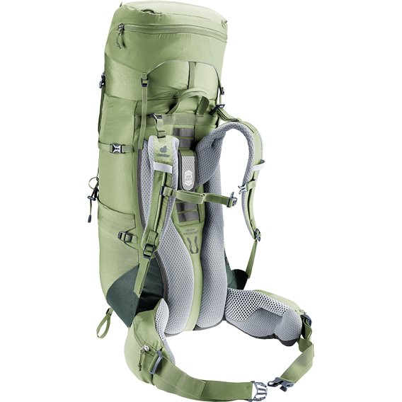 Deuter Aircontact Lite 35 + 10 SL Damen Trekkingrucksack grove-ivy