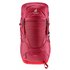 Deuter Fox 30 Kinder Wanderrucksack masala-cherry